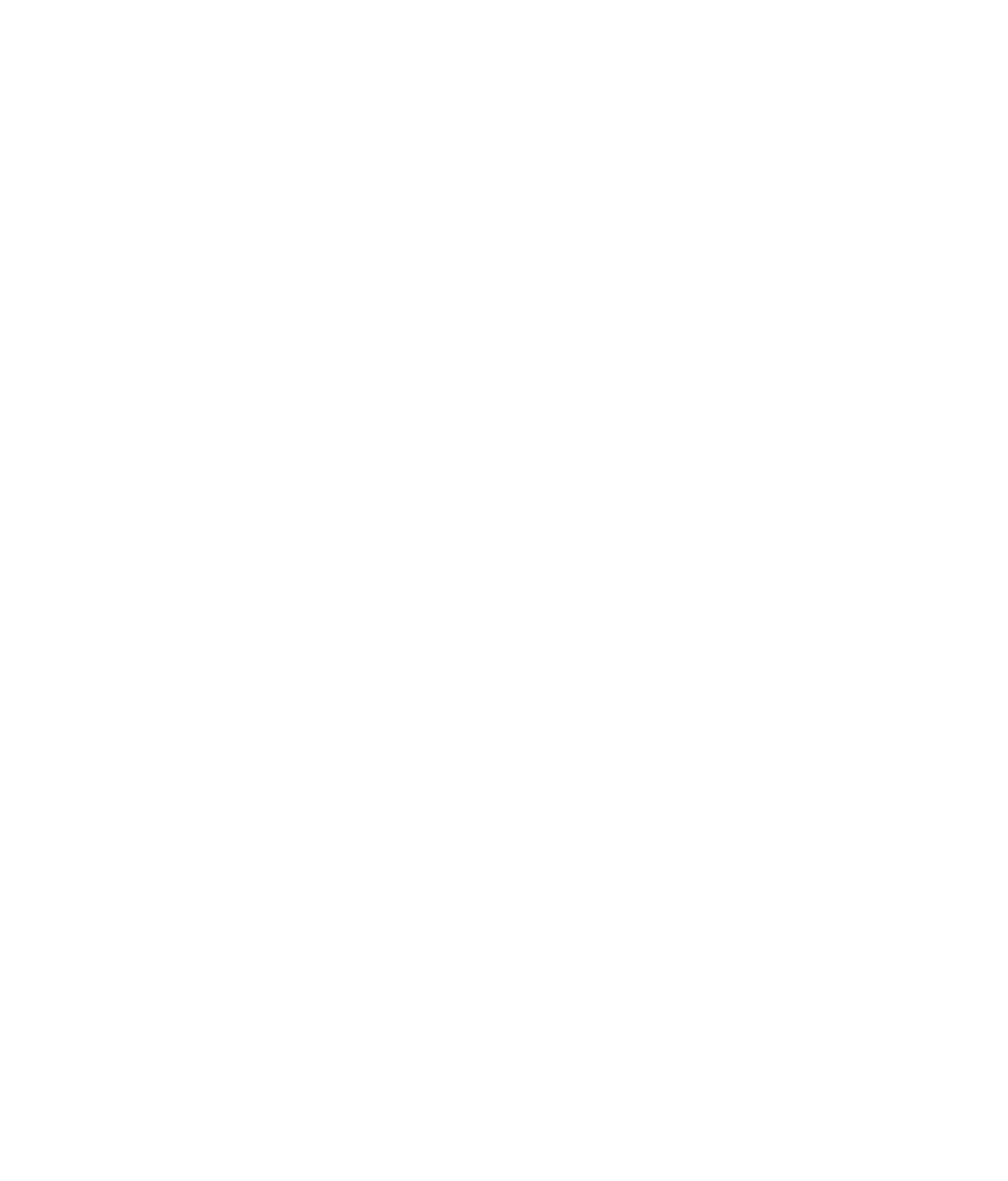 Silicon_Logo_Wit_3